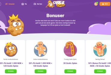 Casino-Cookie-kampanjer-og-bonuser