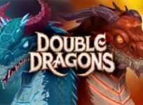 Double Dragons review