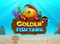 Golden Fish Tank review