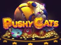 Pushy Cats review