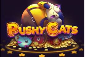 Pushy Cats review