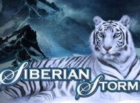 Siberian Storm review
