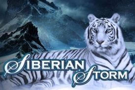 Siberian Storm review
