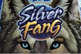 Silver Fang anmeldelse