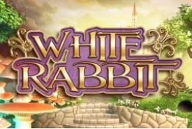 White Rabbit anmeldelse
