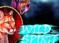 Wild Spirit review